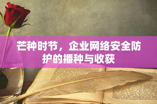 芒种时节，企业网络安全防护的播种与收获