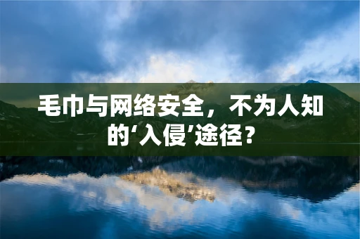 毛巾与网络安全，不为人知的‘入侵’途径？