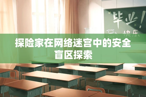 探险家在网络迷宫中的安全盲区探索