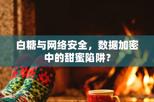 白糖与网络安全，数据加密中的甜蜜陷阱？