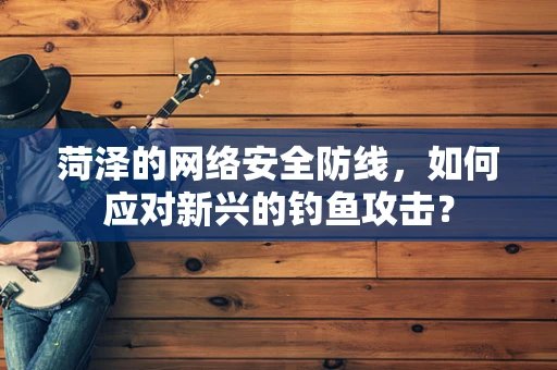 菏泽的网络安全防线，如何应对新兴的钓鱼攻击？