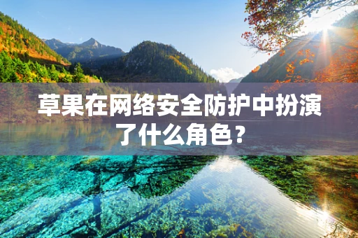 草果在网络安全防护中扮演了什么角色？