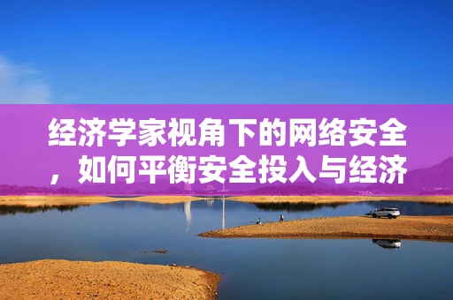 经济学家视角下的网络安全，如何平衡安全投入与经济效益？