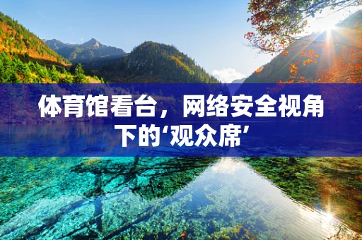 体育馆看台，网络安全视角下的‘观众席’