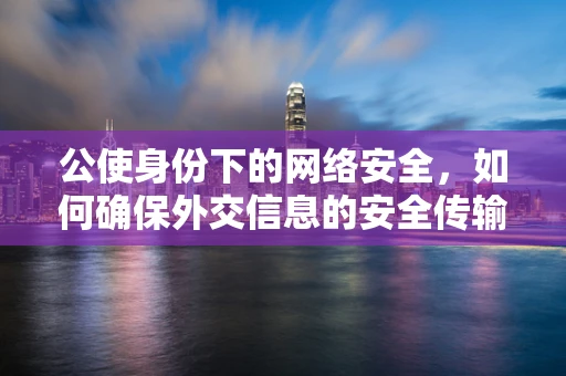 公使身份下的网络安全，如何确保外交信息的安全传输？