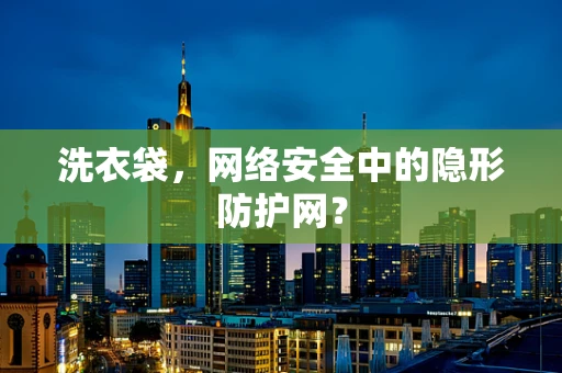 洗衣袋，网络安全中的隐形防护网？