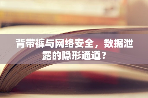 背带裤与网络安全，数据泄露的隐形通道？