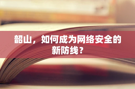 韶山，如何成为网络安全的新防线？