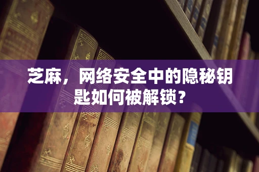 芝麻，网络安全中的隐秘钥匙如何被解锁？