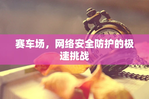 赛车场，网络安全防护的极速挑战