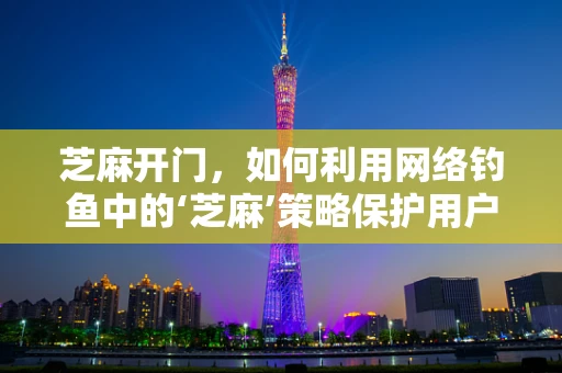 芝麻开门，如何利用网络钓鱼中的‘芝麻’策略保护用户信息安全？