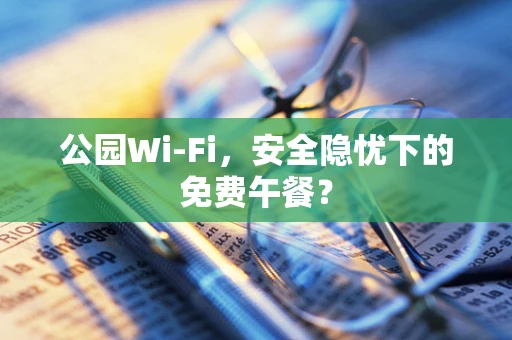 公园Wi-Fi，安全隐忧下的免费午餐？