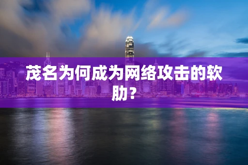 茂名为何成为网络攻击的软肋？