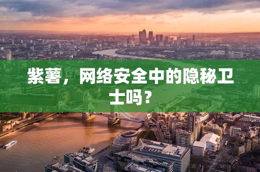 紫薯，网络安全中的隐秘卫士吗？