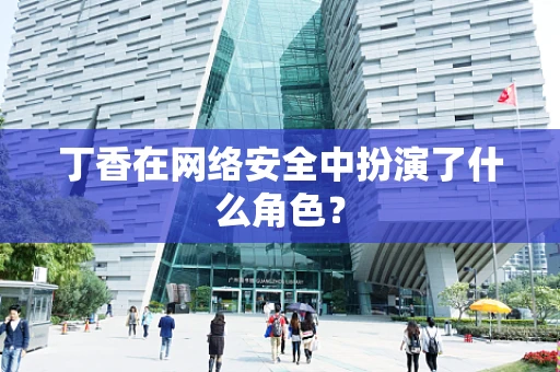 丁香在网络安全中扮演了什么角色？