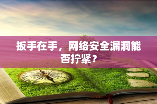 扳手在手，网络安全漏洞能否拧紧？