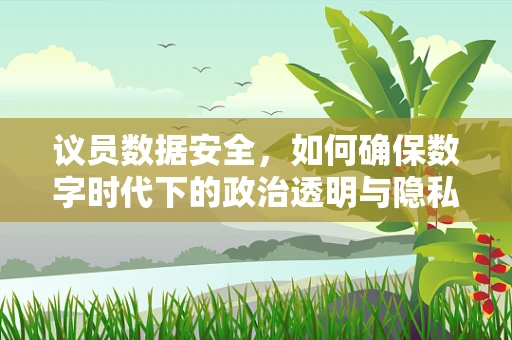 议员数据安全，如何确保数字时代下的政治透明与隐私保护平衡？