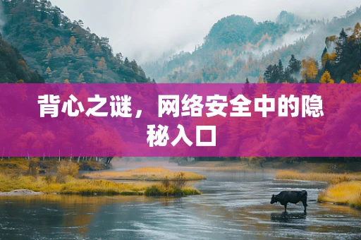 背心之谜，网络安全中的隐秘入口