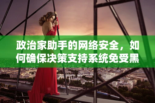 政治家助手的网络安全，如何确保决策支持系统免受黑客攻击？