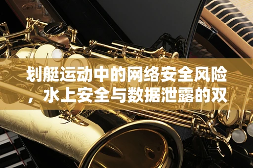 划艇运动中的网络安全风险，水上安全与数据泄露的双重挑战？