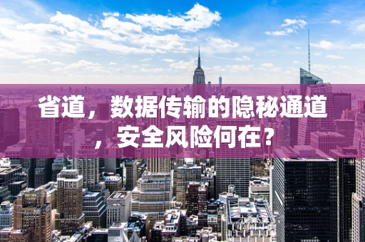 省道，数据传输的隐秘通道，安全风险何在？