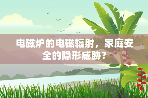 电磁炉的电磁辐射，家庭安全的隐形威胁？