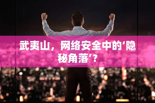 武夷山，网络安全中的‘隐秘角落’？