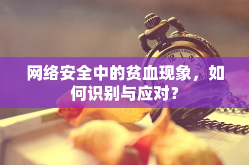 网络安全中的贫血现象，如何识别与应对？