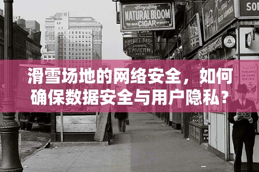 滑雪场地的网络安全，如何确保数据安全与用户隐私？