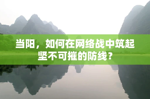 当阳，如何在网络战中筑起坚不可摧的防线？
