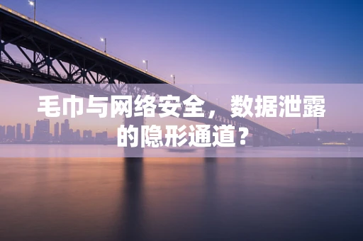 毛巾与网络安全，数据泄露的隐形通道？