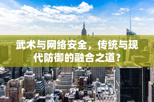 武术与网络安全，传统与现代防御的融合之道？
