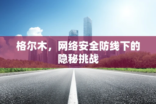 格尔木，网络安全防线下的隐秘挑战