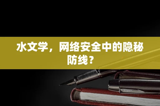 水文学，网络安全中的隐秘防线？