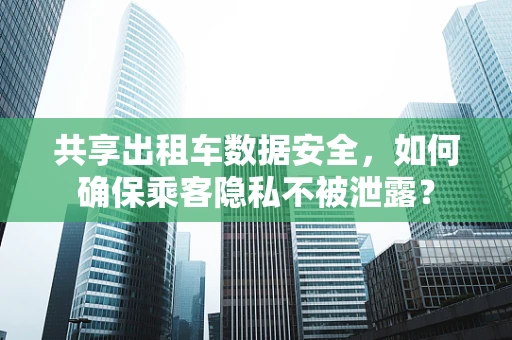 共享出租车数据安全，如何确保乘客隐私不被泄露？