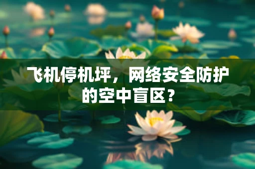 飞机停机坪，网络安全防护的空中盲区？