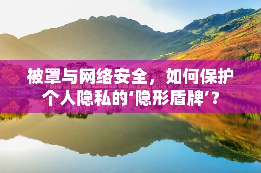 被罩与网络安全，如何保护个人隐私的‘隐形盾牌’？