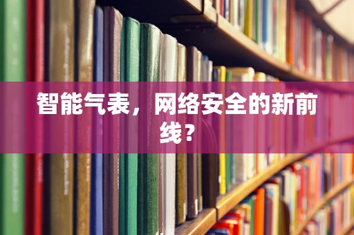 智能气表，网络安全的新前线？