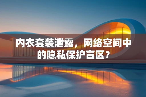 内衣套装泄露，网络空间中的隐私保护盲区？