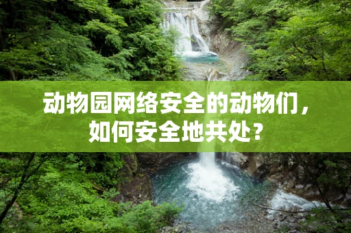 动物园网络安全的动物们，如何安全地共处？