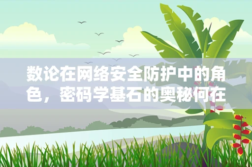 数论在网络安全防护中的角色，密码学基石的奥秘何在？