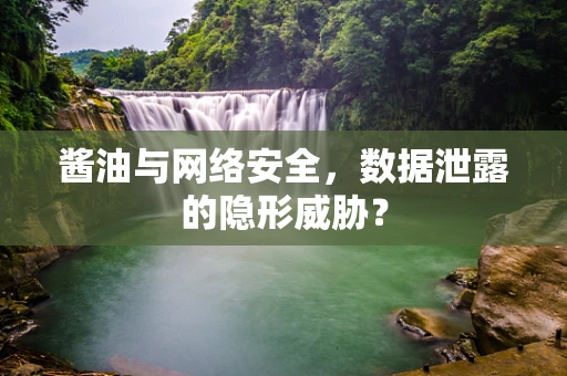 酱油与网络安全，数据泄露的隐形威胁？