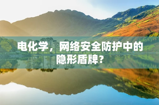 电化学，网络安全防护中的隐形盾牌？