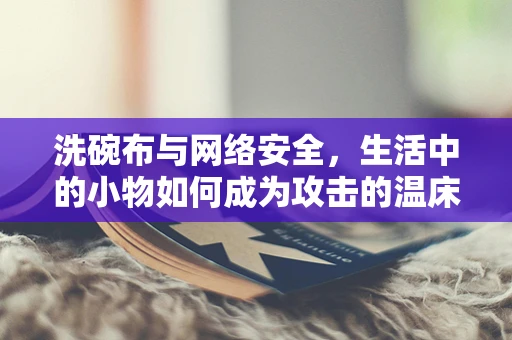 洗碗布与网络安全，生活中的小物如何成为攻击的温床？