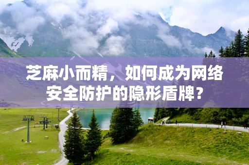 芝麻小而精，如何成为网络安全防护的隐形盾牌？