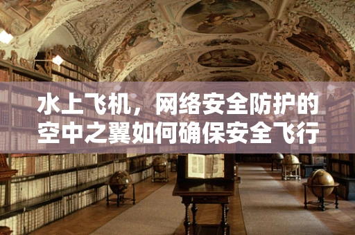 水上飞机，网络安全防护的空中之翼如何确保安全飞行？