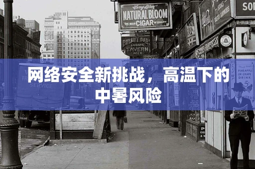 网络安全新挑战，高温下的中暑风险