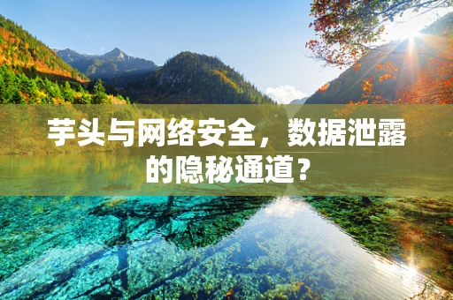 芋头与网络安全，数据泄露的隐秘通道？