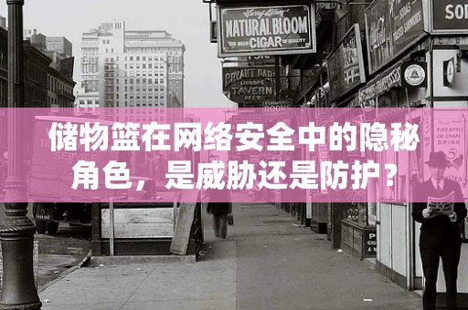 储物篮在网络安全中的隐秘角色，是威胁还是防护？