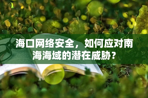 海口网络安全，如何应对南海海域的潜在威胁？